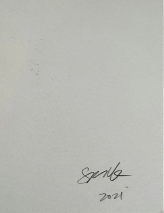 Spencer Harris 'Stretch Bird Plea'