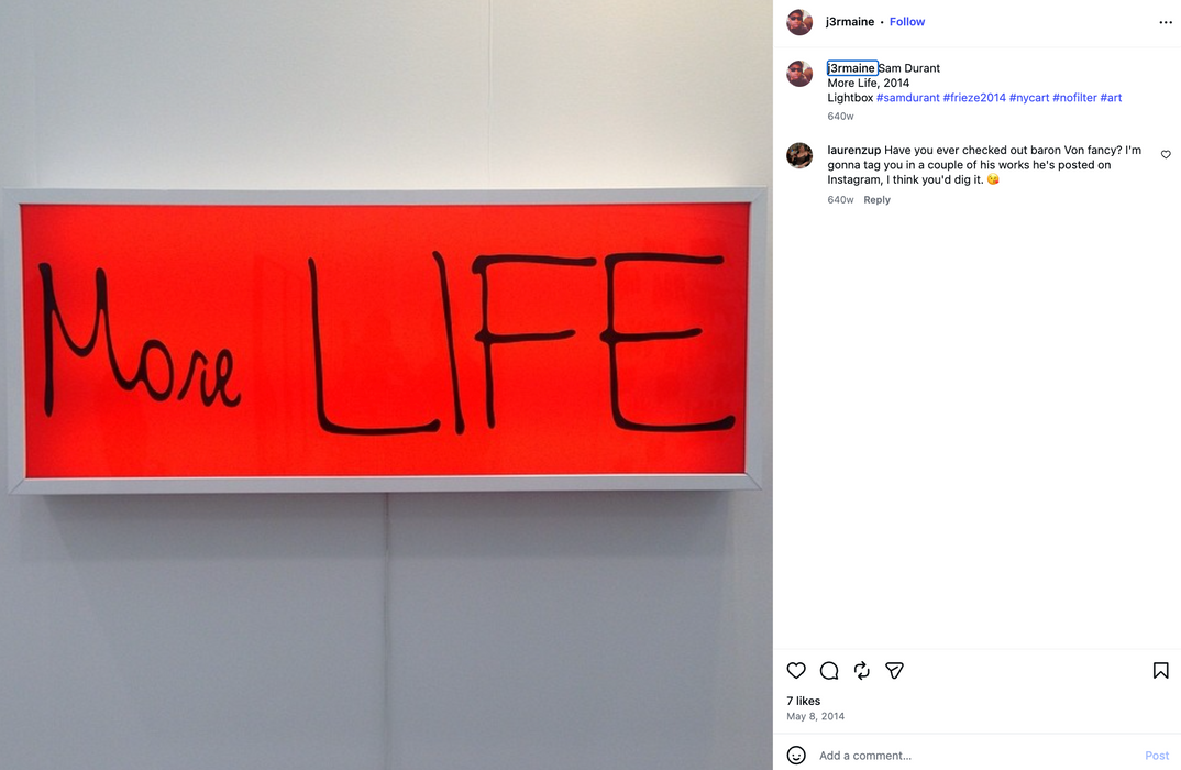 Sam Durant 'More Life'