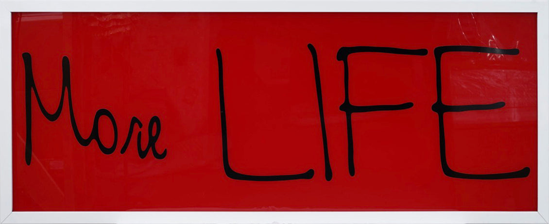 Sam Durant 'More Life'