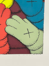 Load image into Gallery viewer, Kaws &#39;Urge&#39;