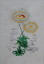 Load image into Gallery viewer, Salvador Dali &#39;Flora Dalinae Chrysanthemum&#39;